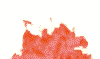 fire3_red.gif (11112 bytes)