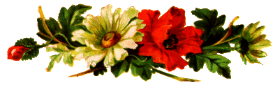 flower.gif (30267 bytes)